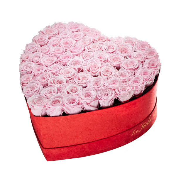 Le Jardin Roses For Mother's Day | 65-75 Soft Pink Soft Pink Preserved